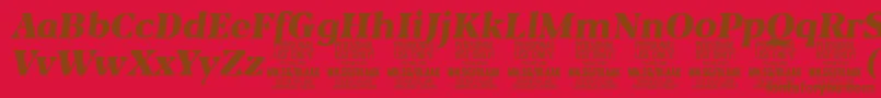 BlaakBlackItalic PERSONAL Font – Brown Fonts on Red Background