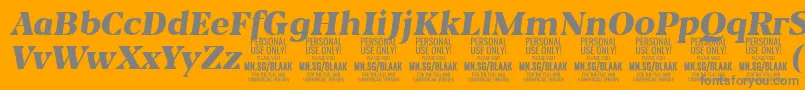 フォントBlaakBlackItalic PERSONAL – オレンジの背景に灰色の文字