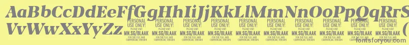 BlaakBlackItalic PERSONAL-Schriftart – Graue Schriften auf gelbem Hintergrund