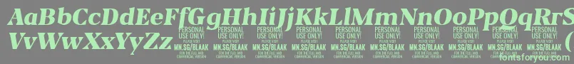 Czcionka BlaakBlackItalic PERSONAL – zielone czcionki na szarym tle