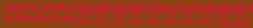 BlaakBlackItalic PERSONAL Font – Red Fonts on Brown Background