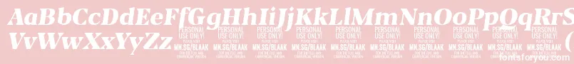 BlaakBlackItalic PERSONAL Font – White Fonts on Pink Background
