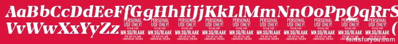 Шрифт BlaakBlackItalic PERSONAL – белые шрифты на красном фоне