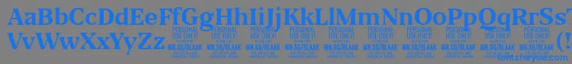 BlaakBold PERSONAL-Schriftart – Blaue Schriften auf grauem Hintergrund