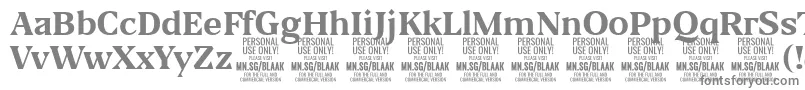 フォントBlaakBold PERSONAL – 白い背景に灰色の文字