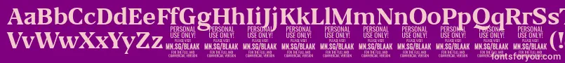 BlaakBold PERSONAL-Schriftart – Rosa Schriften auf violettem Hintergrund