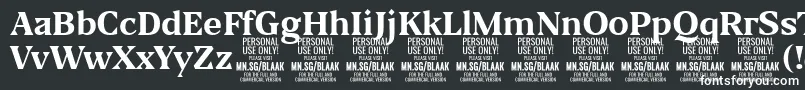 BlaakBold PERSONAL Font – White Fonts