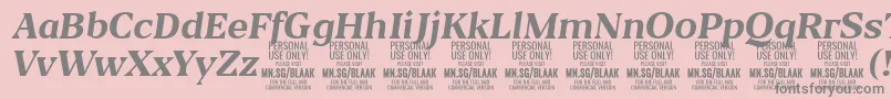 BlaakBoldItalic PERSONAL-Schriftart – Graue Schriften auf rosa Hintergrund