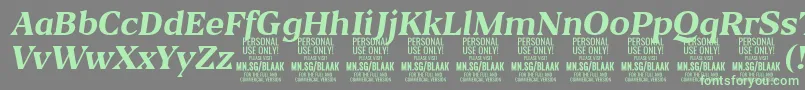 BlaakBoldItalic PERSONAL Font – Green Fonts on Gray Background