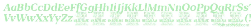 BlaakBoldItalic PERSONAL-Schriftart – Grüne Schriften auf weißem Hintergrund