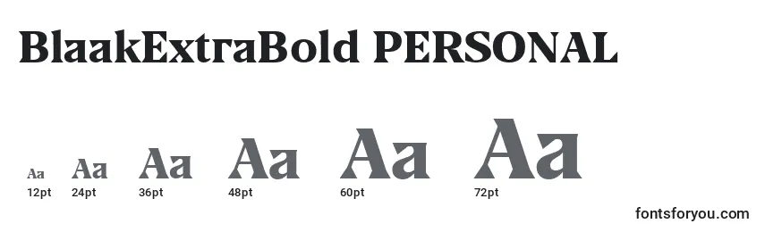 BlaakExtraBold PERSONAL Font Sizes