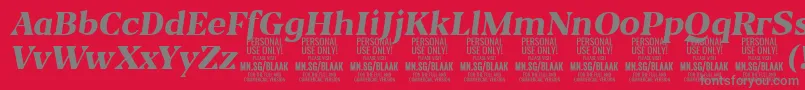 BlaakExtraBoldItalic PERSONAL Font – Gray Fonts on Red Background
