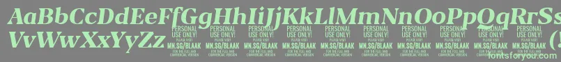 BlaakExtraBoldItalic PERSONAL Font – Green Fonts on Gray Background