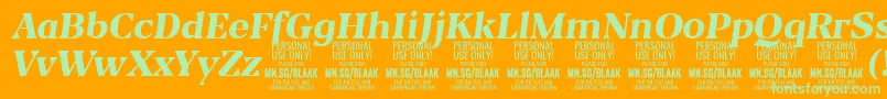 BlaakExtraBoldItalic PERSONAL Font – Green Fonts on Orange Background