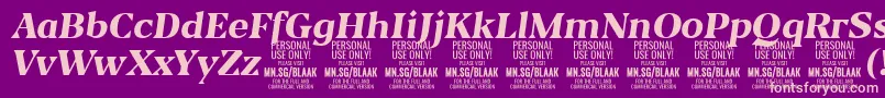 BlaakExtraBoldItalic PERSONAL Font – Pink Fonts on Purple Background