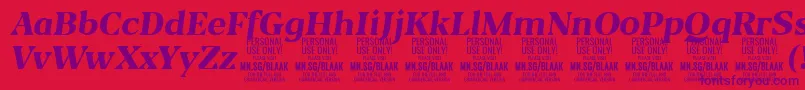 BlaakExtraBoldItalic PERSONAL Font – Purple Fonts on Red Background