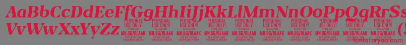 フォントBlaakExtraBoldItalic PERSONAL – 赤い文字の灰色の背景