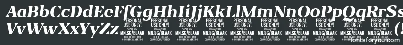 BlaakExtraBoldItalic PERSONAL Font – White Fonts