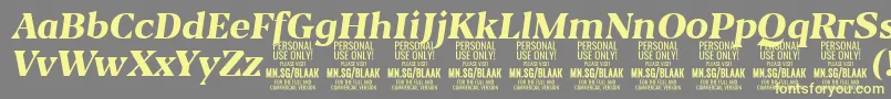 BlaakExtraBoldItalic PERSONAL Font – Yellow Fonts on Gray Background