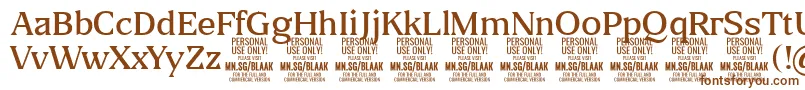 BlaakLight PERSONAL Font – Brown Fonts on White Background