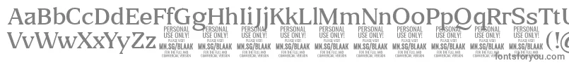 BlaakLight PERSONAL Font – Gray Fonts on White Background