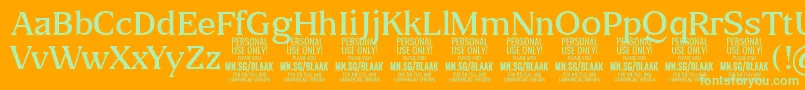 BlaakLight PERSONAL Font – Green Fonts on Orange Background