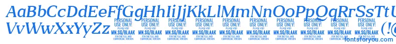 BlaakLightItalic PERSONAL Font – Blue Fonts on White Background