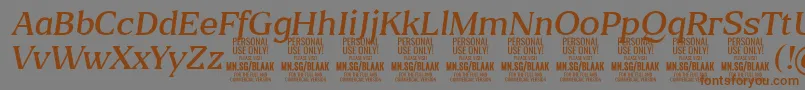 fuente BlaakLightItalic PERSONAL – Fuentes Marrones Sobre Fondo Gris
