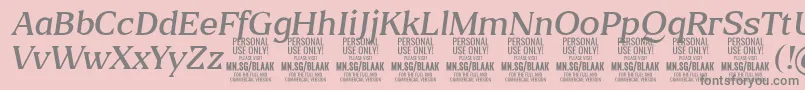 BlaakLightItalic PERSONAL Font – Gray Fonts on Pink Background
