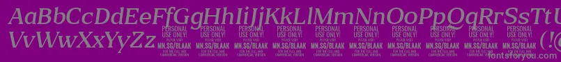 BlaakLightItalic PERSONAL-Schriftart – Graue Schriften auf violettem Hintergrund