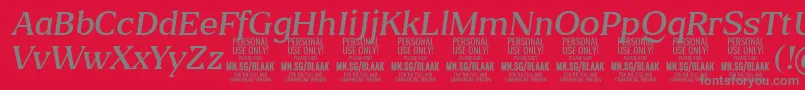 BlaakLightItalic PERSONAL Font – Gray Fonts on Red Background