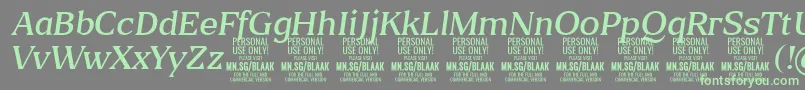 BlaakLightItalic PERSONAL-Schriftart – Grüne Schriften auf grauem Hintergrund