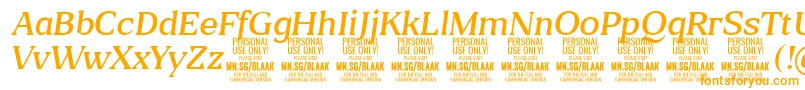 BlaakLightItalic PERSONAL Font – Orange Fonts on White Background