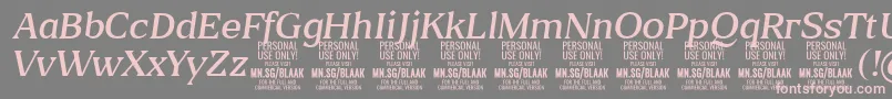 BlaakLightItalic PERSONAL Font – Pink Fonts on Gray Background