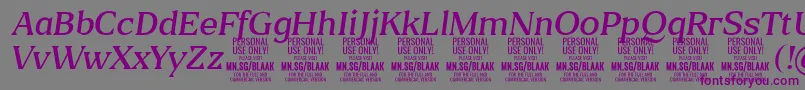 BlaakLightItalic PERSONAL Font – Purple Fonts on Gray Background