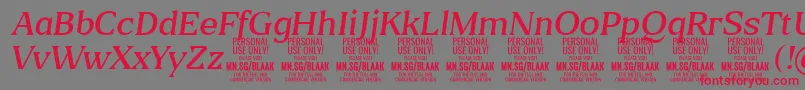 Police BlaakLightItalic PERSONAL – polices rouges sur fond gris
