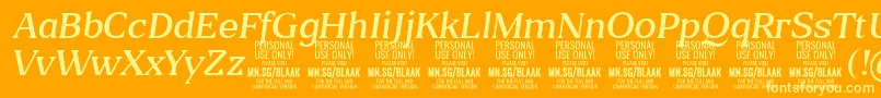 Weitere Informationen zur BlaakLightItalic PERSONAL-Schriftart BlaakLightItalic PERSONAL-Schriftart – Gelbe Schriften auf orangefarbenem Hintergrund