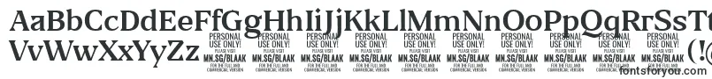 BlaakRegular PERSONAL Font – Fonts for VK