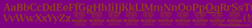 BlaakRegular PERSONAL Font – Brown Fonts on Purple Background