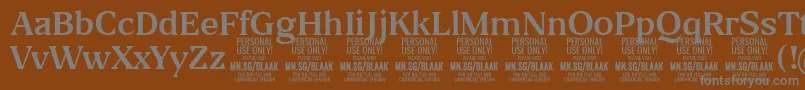 BlaakRegular PERSONAL-Schriftart – Graue Schriften auf braunem Hintergrund