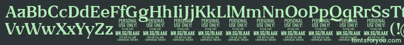 BlaakRegular PERSONAL-Schriftart – Grüne Schriften auf schwarzem Hintergrund