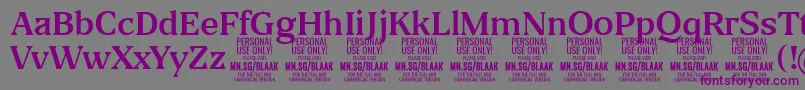 BlaakRegular PERSONAL Font – Purple Fonts on Gray Background