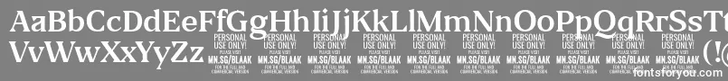 フォントBlaakRegular PERSONAL – 灰色の背景に白い文字