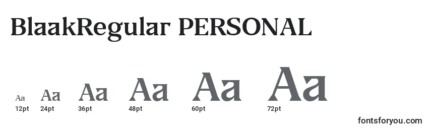 Размеры шрифта BlaakRegular PERSONAL