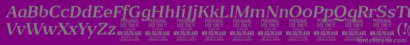 Шрифт BlaakRegularItalic PERSONAL – серые шрифты на фиолетовом фоне