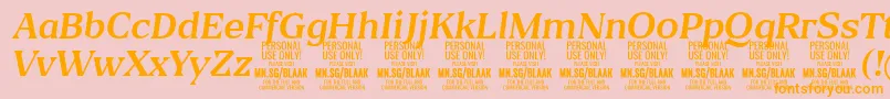 BlaakRegularItalic PERSONAL Font – Orange Fonts on Pink Background