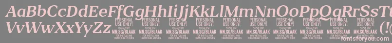 fuente BlaakRegularItalic PERSONAL – Fuentes Rosadas Sobre Fondo Gris