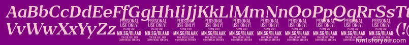 BlaakRegularItalic PERSONAL Font – Pink Fonts on Purple Background