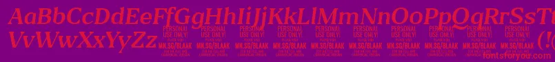 BlaakRegularItalic PERSONAL-Schriftart – Rote Schriften auf violettem Hintergrund