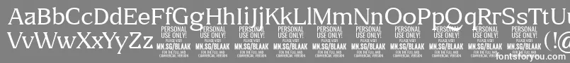 BlaakThin PERSONAL-Schriftart – Weiße Schriften auf grauem Hintergrund